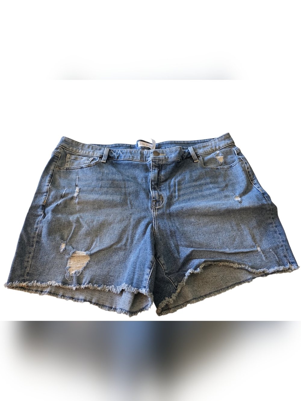Lane Bryant Light Blue Distressed Denim Shorts